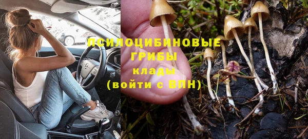 MESCALINE Баксан