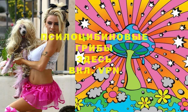 MESCALINE Баксан