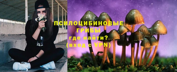 MESCALINE Баксан