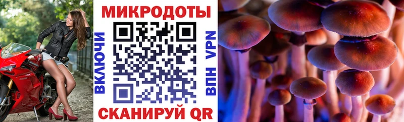 Галлюциногенные грибы прущие грибы  купить  сайты  Северо-Курильск 